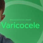 Varicocele: entenda como o problema na adolescência pode levar à infertilidade masculina